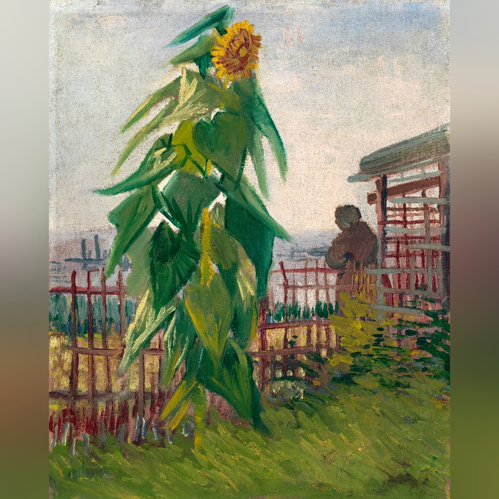 Vincent van Gogh's Allotment with Sunflower (1887) famous painting Art Print